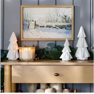 NWT Threshold with Studio McGee Snow Landscaped Framed Canvas Art